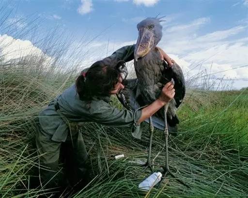 “咦,你都不赞一下果壳吗?