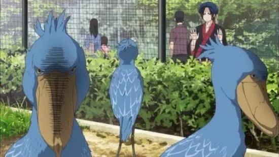 “咦,你都不赞一下果壳吗?