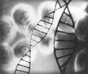 谈谈前列腺肥大(健康新概念)