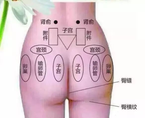 10.25 屁股是人体“毒窝”，学会这7个开臀术，15天后身体就有奇妙的变化！