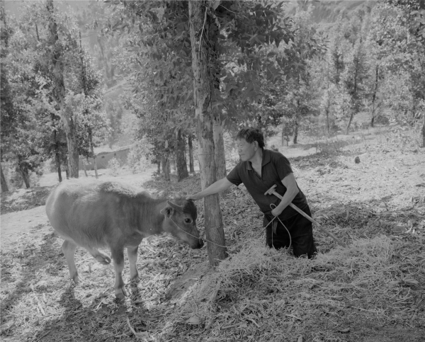 生命的力量:一个麻风病人的纪实(连载3)