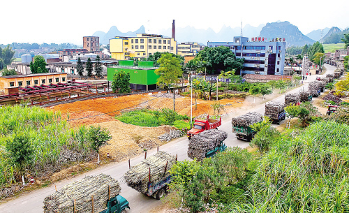 三张“生态牌”绿色发展路