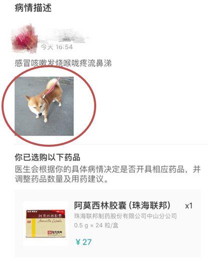 宠物照片充当处方竟能网购处方药
